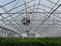 greenhouse